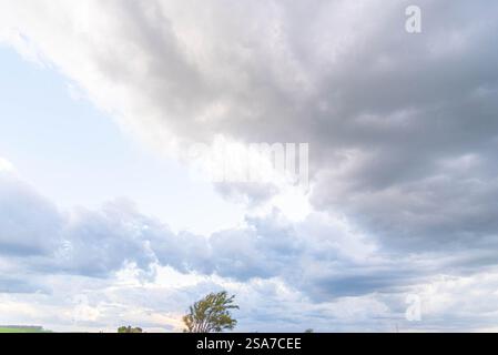 Nuages de pluie et cumulonimbus au-dessus du biome de pampa. Banque D'Images