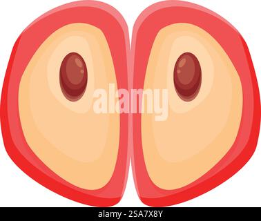 Pomme rouge coupée en deux montrant des graines à l'intérieur sur fond blanc. Pomme rouge coupée en deux montrant des graines à l'intérieur Illustration de Vecteur