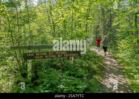 CLEARWATER CO. Mn - 11 août 2024 : un panneau le long d'un sentier de randonnée dans la forêt dans le parc d'État d'Itasca dans le Minnesota. Banque D'Images