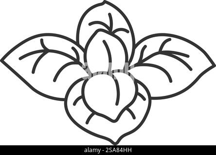 Feuilles de chou bio, feuillage de salade. Plante poussant sur le jardin. Ingrédients de produits savoureux pour la cuisson et la préparation de goof et de plats. Icône de contour monochrome isolé. Vecteur dans l'illustration de style plat. Feuilles de chou, ingrédient biologique pour la cuisson Illustration de Vecteur