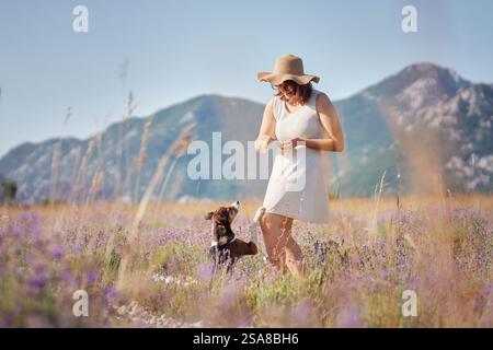 Une fille dans un chapeau de soleil et une robe blanche marche avec son chien à travers un champ de lavande entouré de montagnes lointaines. La scène respire la tranquillité et le Banque D'Images