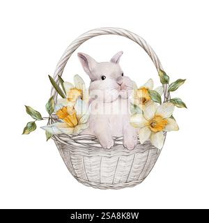 Une illustration aquarelle d'un joli lapin assis dans un panier en osier rempli de jonquilles jaunes et de feuilles vertes, parfait pour les décorations sur le thème du printemps et de Pâques. Banque D'Images