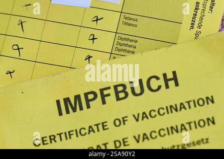 Berlin, Allemagne. 29 janvier 2025. Les cases tétanos, diphtérie et polio sont cochées sur une carte de vaccination. Crédit : Annette Riedl/dpa/Alamy Live News Banque D'Images