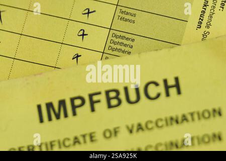 Berlin, Allemagne. 29 janvier 2025. Les cases tétanos, diphtérie et polio sont cochées sur une carte de vaccination. Crédit : Annette Riedl/dpa/Alamy Live News Banque D'Images