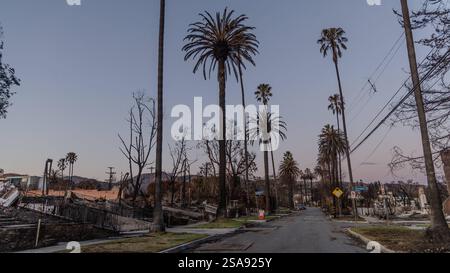 Pacific Palisades, Californie, États-Unis. 26 janvier 2025. Une vue d'une rue dans les Pacific Palisades, sur Carthage Street, rue croisée Hampden place. De nombreux palmiers brûlés devront être enlevés avant de tomber. (Crédit image : © Amy Katz/ZUMA Press Wire) USAGE ÉDITORIAL SEULEMENT! Non destiné à UN USAGE commercial ! Banque D'Images