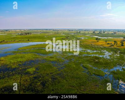 Paysage au Botswana. Vol de Maun au delta de l'Okavango en hélicoptère. Banque D'Images