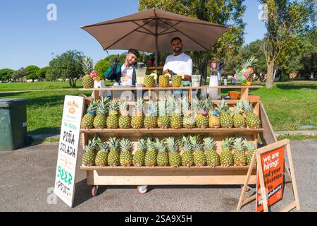 Lisbonne, Portugal - 30 octobre 2024 : vendeurs de rue vendant des ananas aux touristes Banque D'Images
