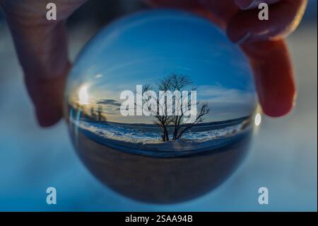 Reflet dans la boule de cristal d'un arbre en hiver devant le ciel bleu Banque D'Images