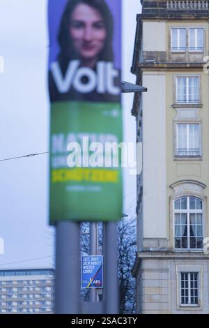 La phase chaude de la campagne électorale d'Etat en Saxe peut être vu dans la quantité de messages différents sur les arbres et les lanternes, Dresde, Saxe, Allemagne Banque D'Images
