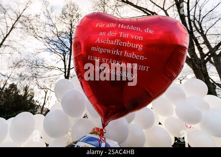 Aschaffenburg, Allemagne. 29 janvier 2025. 'Pour tous les héros qui ont contribué au crime à Aschaffenburg - votre force reste inoubliable!' Est écrit sur un ballon rouge en forme de coeur à côté de ballons blancs dans le parc Schöntal. Les ballons ont été lâchés en mémoire des victimes de l'attaque fatale au couteau. Crédit : Daniel Karmann/dpa/Alamy Live News Banque D'Images