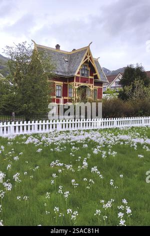 Printemps à Nordfjordeid, Norvège, Europe Banque D'Images