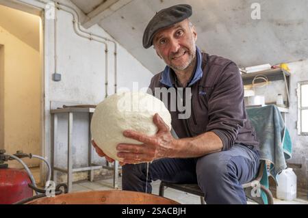 Fabrication de fromage dans une cabane de montagne transhumance des Pyrénées, avec Regis Carrere tenant la boule fraîchement moulée de fromage de brebis cru, Upper Ossau Val Banque D'Images