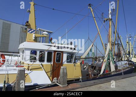 Bateau de pêche à Makkum sur l'Ijsselmeer Banque D'Images