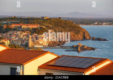 Vue à l'aube de Collioure, Pyrénées-Orientales, France Banque D'Images