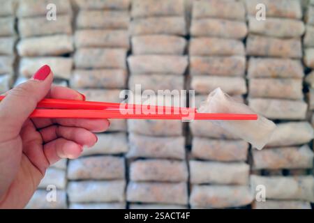 Fabrication de rouleaux de printemps traditionnels de porc vietnamien. Nourriture de rue. Banque D'Images