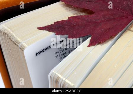 Ouvrez la Bible avec une feuille d'arbre séchée. Banque D'Images