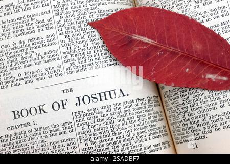 Ouvrez la Bible avec une feuille d'arbre séchée. Banque D'Images