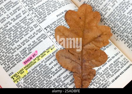 Ouvrez la Bible avec une feuille d'arbre séchée. Psaume. Banque D'Images