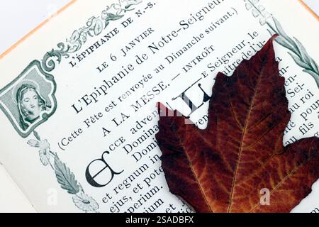 Ouvrez la Bible avec une feuille d'arbre séchée. Epiphanie. Banque D'Images