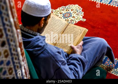 Fidèle assis et lisant Kuran dans le mausolée Moulay Driss i, (Maqam Moulay Idriss), Moulay Idriss Zerhoun, Maroc Banque D'Images
