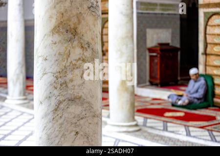 Fidèle assis et lisant Kuran dans le mausolée Moulay Driss i, (Maqam Moulay Idriss), Moulay Idriss Zerhoun, Maroc Banque D'Images