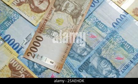 Billets de banque hongrois en forint dispersés dans une vue rapprochée présentant des devises colorées avec des personnages historiques et des motifs complexes. Banque D'Images