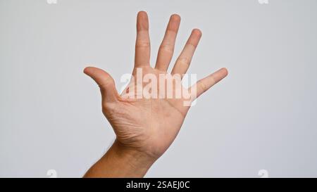 La main de l'homme tendue sur un fond Uni, soulignant la paume et les doigts ouverts. Banque D'Images