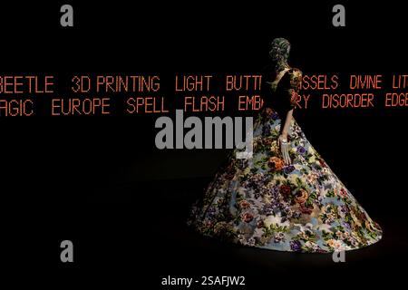 Paris, Frankreich. 29 janvier 2025. Piste VALENTINO haute Couture printemps-été 2025 lors de la semaine de la mode haute Couture à Paris le 2025 janvier - Paris, France 29/01/2025 crédit : dpa/Alamy Live News Banque D'Images