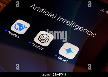 Ottawa, Canada. 29 janvier 2025. Dans cette illustration photo, les applications d'intelligence artificielle (IA) DeepSeek, ChatGPT et Google Gemini vues affichées sur un smartphone. Crédit : SOPA images Limited/Alamy Live News Banque D'Images