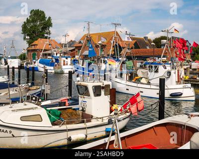 Petits bateaux de pêche amarrés dans le port de Maasholm le long du fjord de Schlei, Schleswig-Holstein, Allemagne Banque D'Images