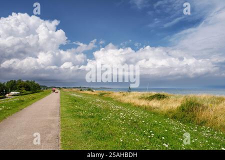 Les gens marchent des chiens sur le chemin de la digue le long de la mer Baltique près de Gut Oehe, nuages de tempête sur la côte, Schleswig-Holstein, Allemagne Banque D'Images
