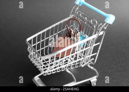 Porte-clés en forme de maison en bois avec des clés à la maison en métal dans le panier du magasin sur fond noir. Achat concept immobilier Banque D'Images