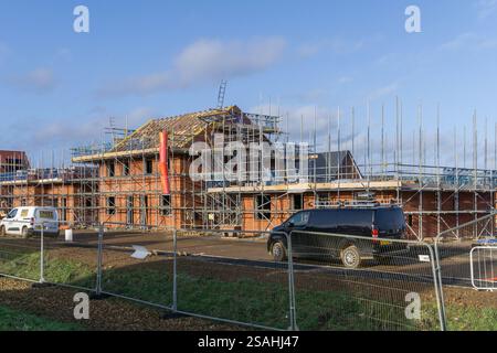 Maisons Tilia en construction, Landimore Park, Wootton, Northampton, Royaume-Uni Banque D'Images