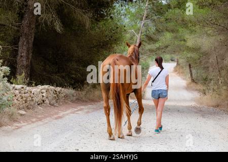 Itinéraires d'équitation, CAN Mayans, Santa Gertrudis de Fruitera, Ibiza, Îles Baléares, Espagne. Banque D'Images