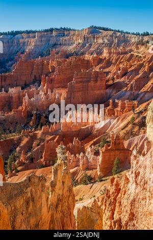 Vue sur l'amphithéâtre au lever du soleil, parc national de Bryce Canyon, Utah, États-Unis Banque D'Images