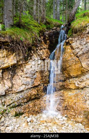 Petite cascade descendant une falaise rocheuse dans une forêt luxuriante des Dolomites (Dolomiti, Dolomiten), Italie. L'eau douce coule sur des s recouverts de mousse Banque D'Images