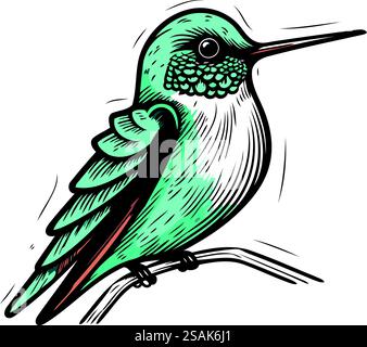 Hummingbird assis sur une branche. Illustration vectorielle dessinée à la main. Illustration de Vecteur