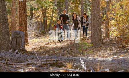 Famille active en plein air profitant de la promenade d'automne ou d'automne dans Forest Together Banque D'Images