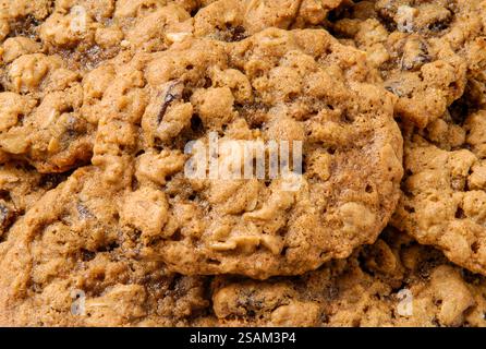 Une assiette de petits biscuits aux pépites de chocolat fraîchement cuits Banque D'Images