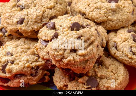 Une assiette de petits biscuits aux pépites de chocolat fraîchement cuits Banque D'Images