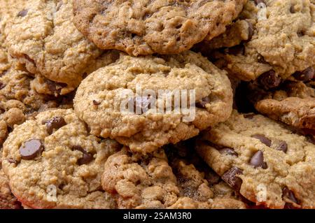 Une assiette de petits biscuits aux pépites de chocolat fraîchement cuits Banque D'Images