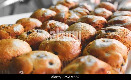 Gros plan sur la présentation de muffins aux myrtilles fraîchement cuits dans le café-restaurant Banque D'Images