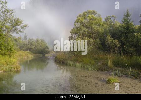 Zone de conservation de la nature de la vallée d'Isar. La rivière sauvage Isar coule à travers son lit de gravier devant le bois flotté et les arbres entraînés et les buissons. Lever de soleil avec tanière Banque D'Images
