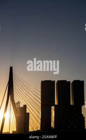 Silhouette de lever de soleil du pont Erasmus à Rotterdam, pays-Bas Banque D'Images