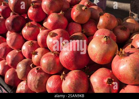 Un tas de grenades mûres : un wagon chargé de grenades empilées haut attendent le transport au marché. Banque D'Images