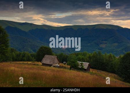 Vue sereine au crépuscule des cabanes de montagne traditionnelles à Svydovets, Carpates ukrainiennes, Ukraine. Des prairies luxuriantes et des collines boisées brillent sous un ciel spectaculaire. Banque D'Images