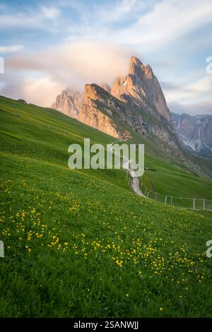 Coucher de soleil heure dorée de Seceda, Dolomites Banque D'Images