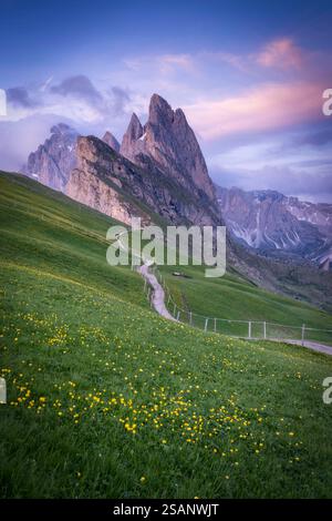 Coucher de soleil heure dorée de Seceda, Dolomites Banque D'Images