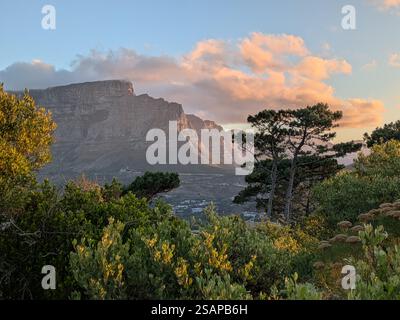 Vue sur le coucher du soleil de table Mountain depuis signal Hill Banque D'Images