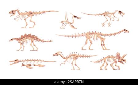 Squelette de dinosaure. Os de dinosaure avec crânes. Abstract tyrannosaurus ou triceratops dessin animé sur des parties du corps fossile. Animaux sauvages de lézard préhistoriques. Ensemble isolé de rapaces jurassiques. Reptiles anciens vecteurs. Squelette de dinosaure. Os de dinosaure avec crânes. Abstract tyrannosaurus ou triceratops dessin animé sur des parties du corps fossile. Animaux lézards préhistoriques. Ensemble de rapaces jurassiques. Reptiles anciens vecteurs Illustration de Vecteur